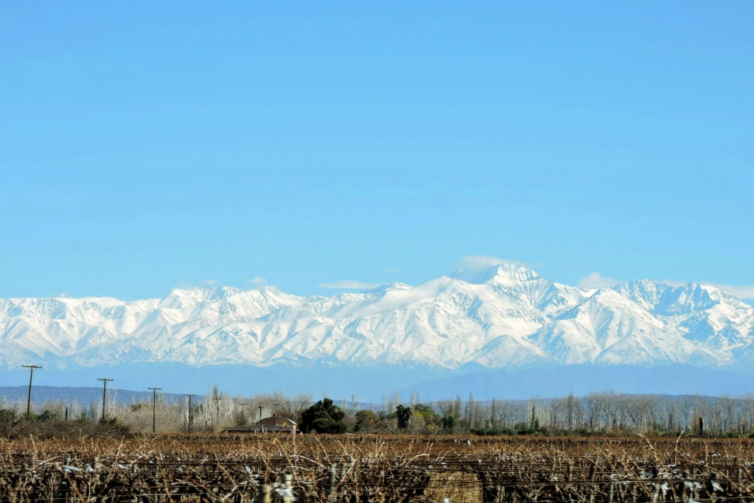 imagen Valle de Medrano: siete pymes mendocinas se unen para llevar vino y aceite de oliva al mundo