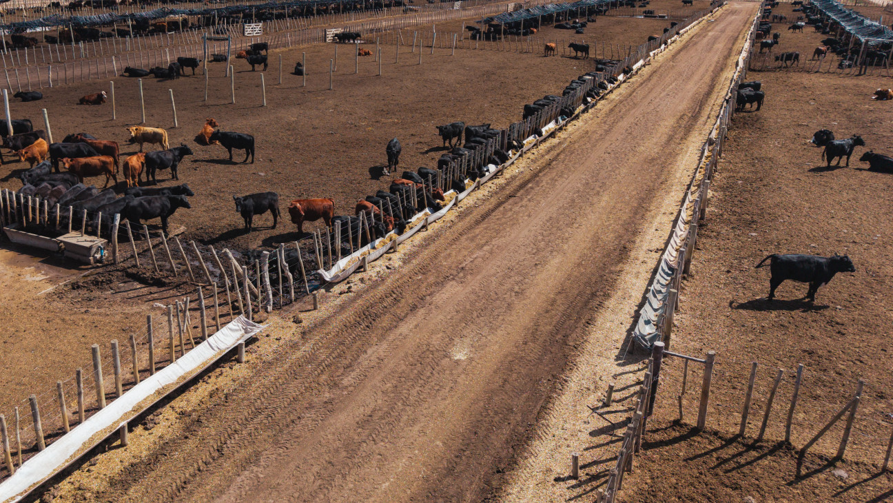 imagen Clústers: La UNCUYO fortalece la articulación con sectores productivos para impulsar el desarrollo de Mendoza