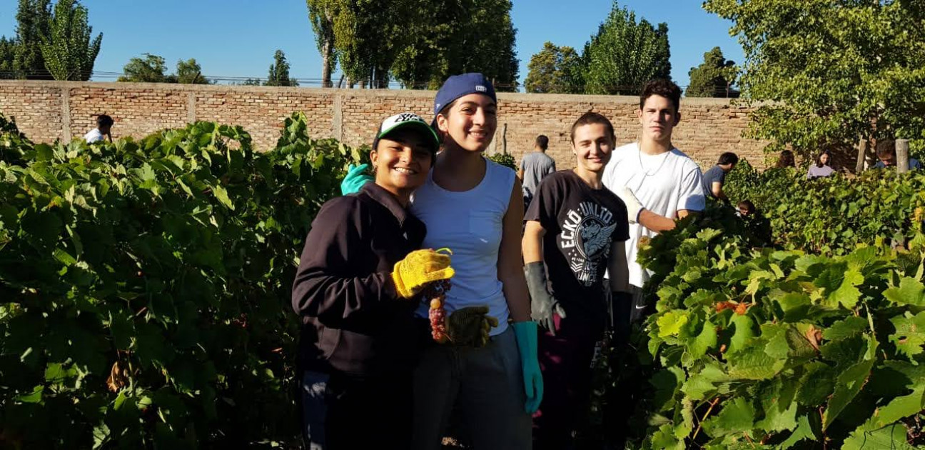 imagen La UNCUYO impulsa la búsqueda de fondos para la Bodega Piloto del Liceo Agrícola