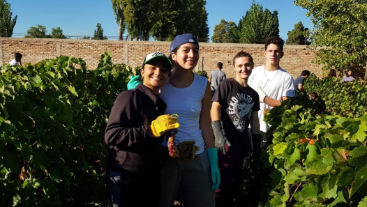 imagen Campaña: Finalización de la Bodega Piloto del Liceo Agrícola y Enológico