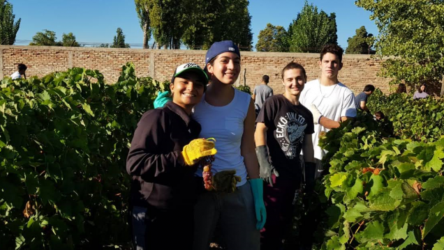 imagen Campaña: Finalización de la Bodega Piloto del Liceo Agrícola y Enológico