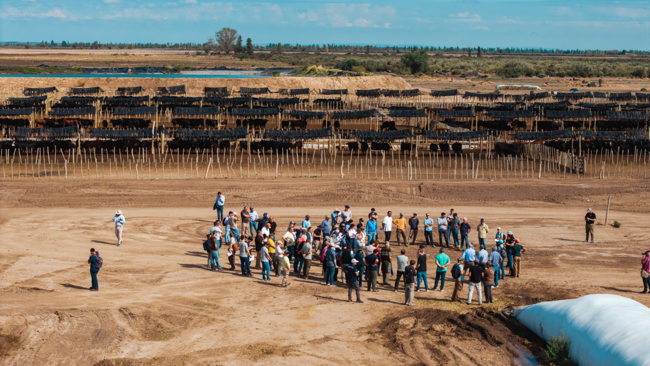 imagen Innovación para el desarrollo productivo: Clúster Ganadero