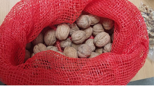 imagen El Clúster de Frutos Secos de Mendoza se consolida como espacio clave para el desarrollo productivo