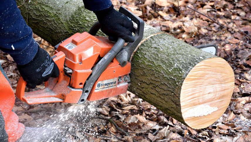 imagen que ilustra noticia Capacitación en Valle de UCO: Taller de uso seguro y mantenimiento de motosierras y poda forestal