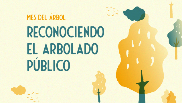 imagen Realizarán una caminata desde la UNCUYO para reconocer y poner en valor el arbolado público
