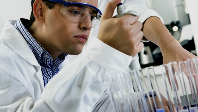 imagen Convocatorias para PYMES, investigación científica, ambiente y desarrollo infantil