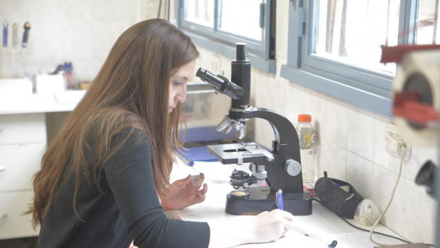 imagen El IDEGEM conmemora Día Internacional de la Mujer y la Niña en la Ciencia