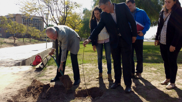 imagen Plantaron nuevos forestales en el campus de la UNCUYO